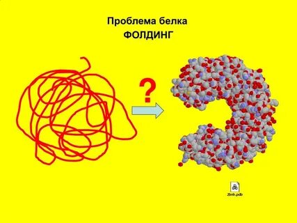 Нативный белок