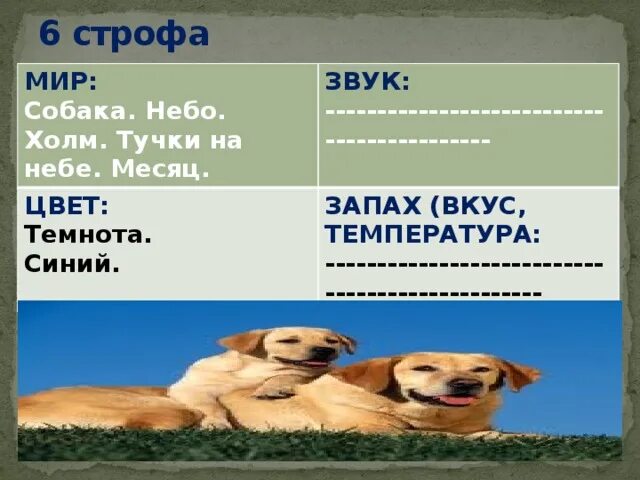 Песнь о собаке анализ. Стихотворение песнь о собаке. Песнь о собаке Есенин анализ. Анализ стихотворения песнь о собаке. Стихотворение песня о собаке