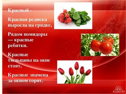 Кто красит редиску