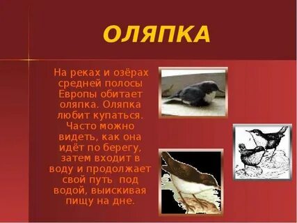 Оляпка текст