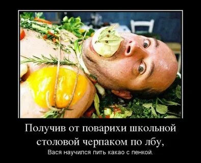 Научился вася
