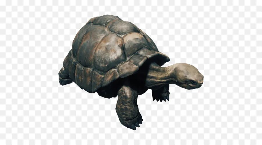 где найти современный топор в sons of the forest. где найти черепаший панцирь в the forest. The forest панцирь черепахи. форест на минималках графика. форест 1 черепаха.