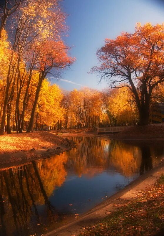 ноябрь в ростовской области. листопад в дубне. осенью чистый воздух. самый теплый октябрь. самый теплый октябрь.