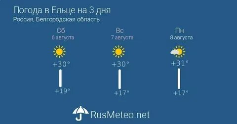 Ну и погода в мичуринске