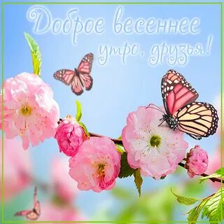 Добрый солнечный день весны