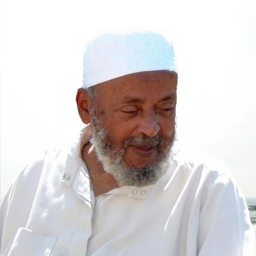 Абдуллахом аль. Абдулла аль-харари. шейх абдуллах аль харари. шейх абдуллах аль харари фото. шейх ар роджихи.