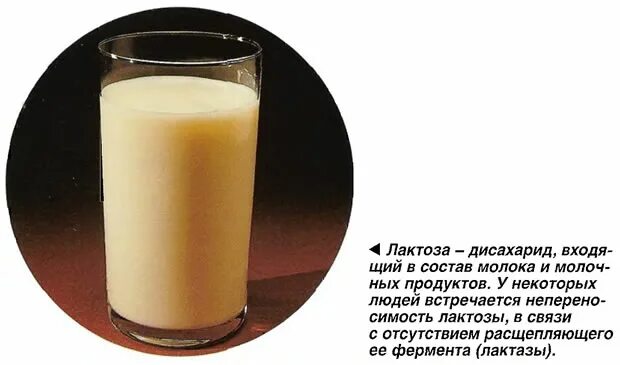 коровье молоко молозиво. желтое молоко коровы. желтое молоко коровы. молочная продукция с коровой красной. маститное молоко у коров.