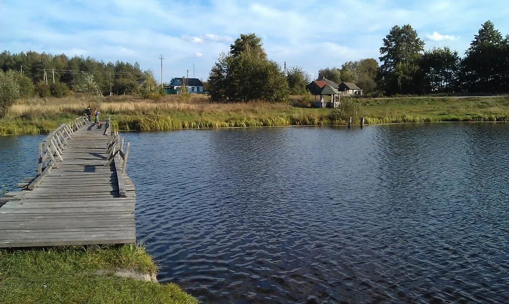 сегодня черниговская область семеновка