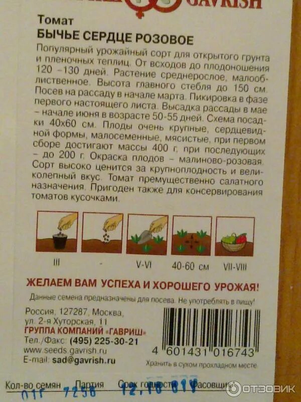 Томат БЫЧЬЕ СЕРДЦЕ фото