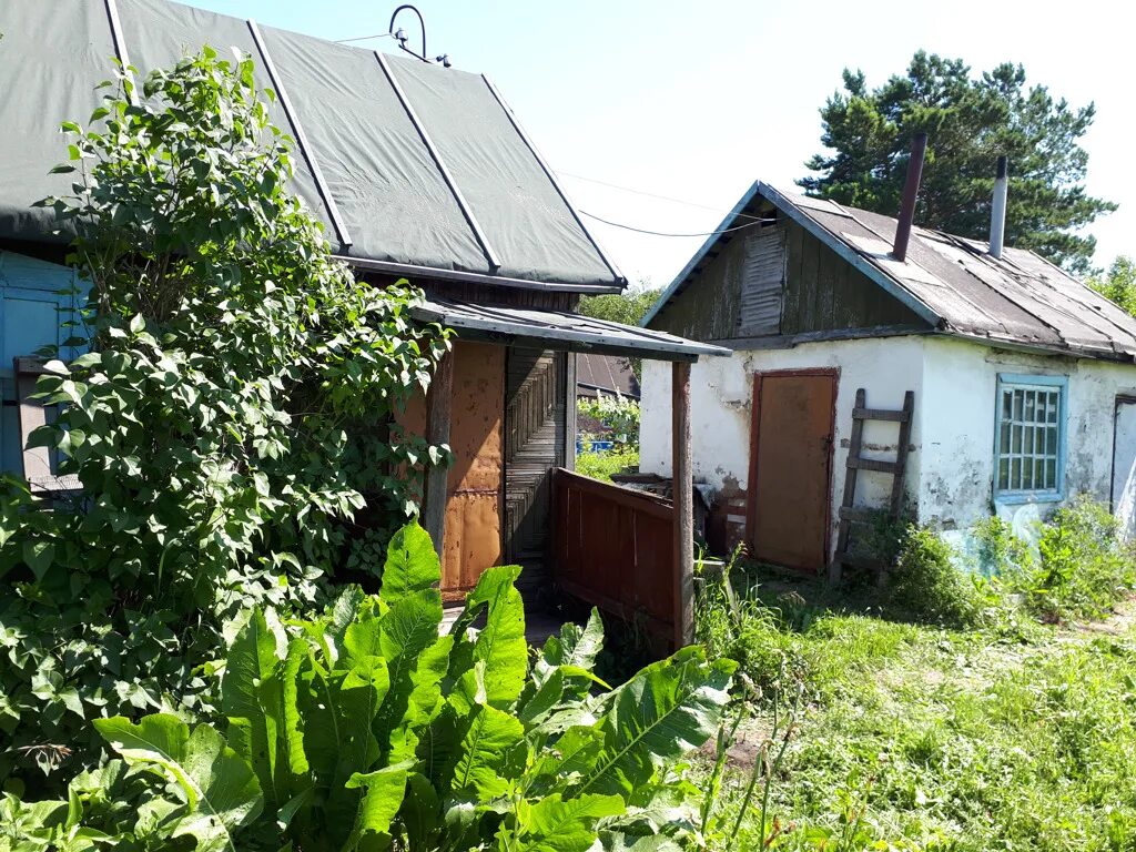 Садовое общество купить. Дачи в садовых обществах. Дачи в Новосибирске. Садоводческое общество досуг. Садовое общество Сибиряк Куйбышев НСО.