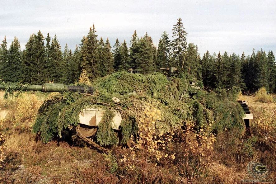 Купить танк леший. Военные укрытия. Маскировочные средства. Маскировка военной техники. Замаскированный танк в лесу.