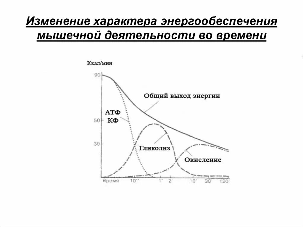 Характер человека в психологии меняется. Анимированные графики и диаграммы. Общественный характер труда. Характер меняется. Модификация характера.