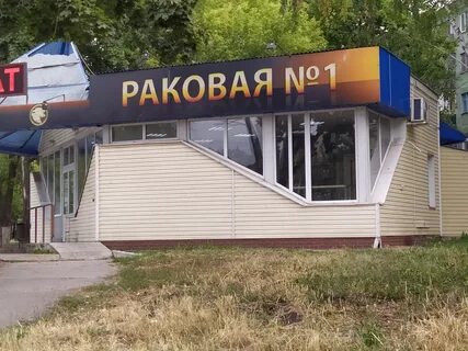 Липецкий космонавт