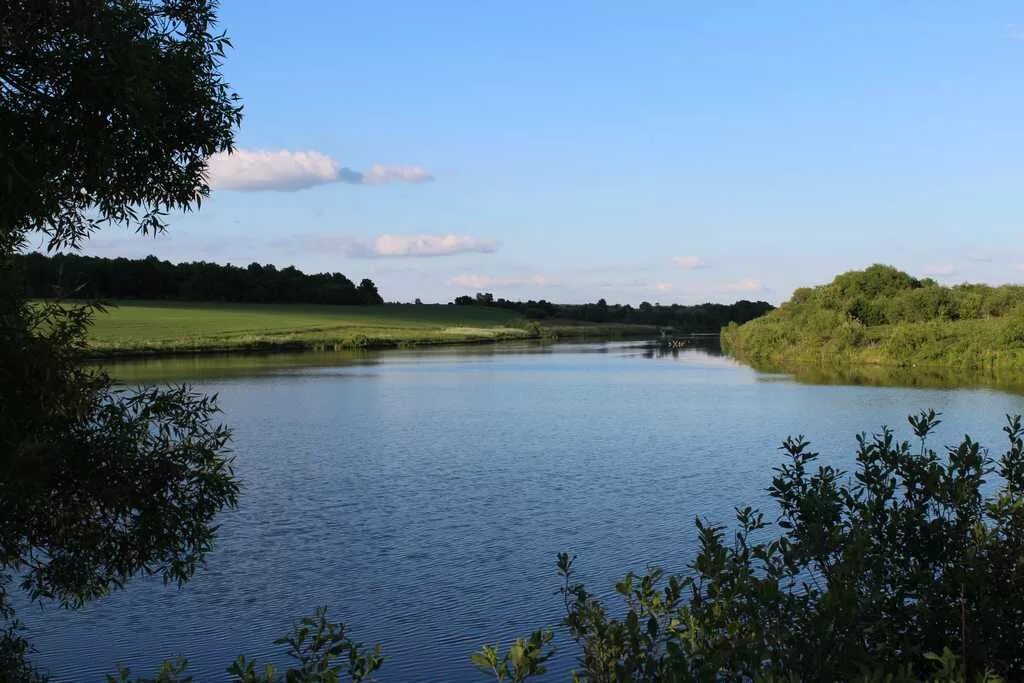 Пруд шелокшонка нижегородская область. Кольчугино ока река. Уровень воды в оке коломна. Красивые места село ляхи на оке. Река ока в алексине.