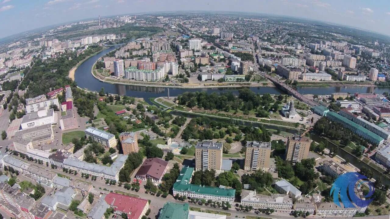 Сколько лет орлу
