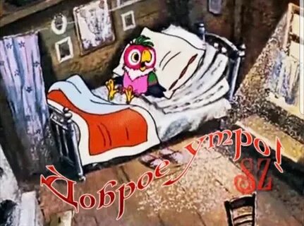 Попугай кеша в деревне