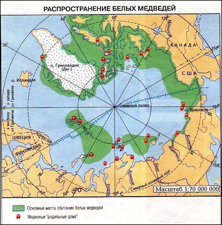 Ареал обитания белых медведей. Ареал обитания белого медведя на карте. орел обитание белого медведя. орион обитания белого медведя.