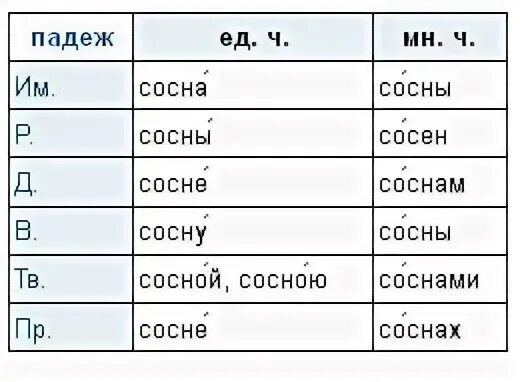 Хвойной падеж. Просклонять сосна. Сосны на склоне. Просклонять слово сосна по падежам. Склонение слова сосна.