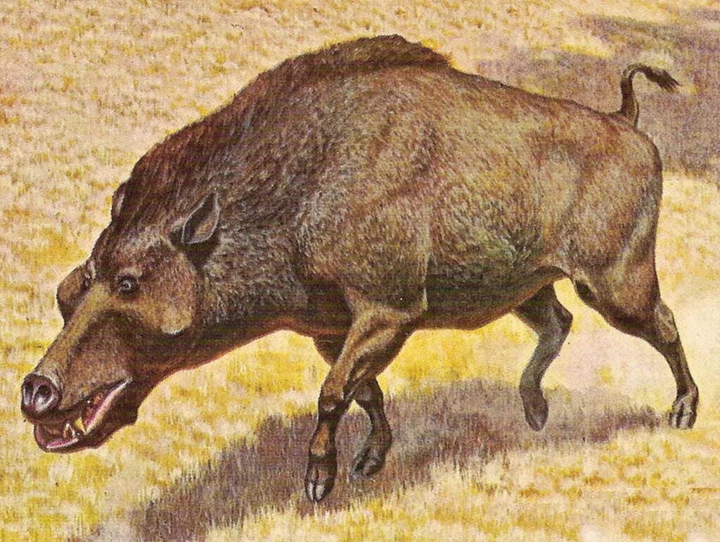 Плотоядная корова