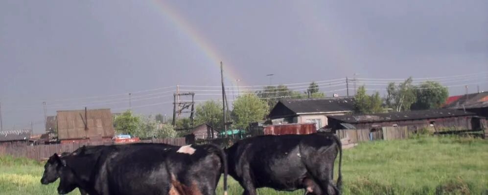 Погода никольское красноярского. Село Никольское Емельяновский район. Село Никольское Красноярский край Емельяновский район. Емельяновский районный село Никольское. Фото села Никольское Красноярский край Емельяновский район.