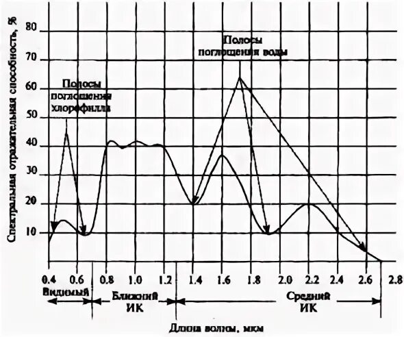 Отражательная способность растительности. Отражательная способность растительности