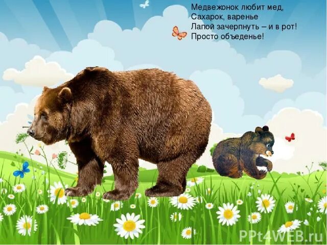 Почему медведь любит. Медвежонок любит мед. Почему мишка любит мед. Почему медведи любят мед. Медведь любит мед картинки.