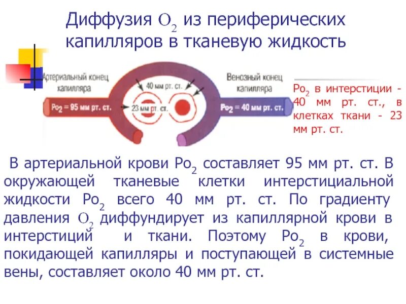 Без ограничение диффузии