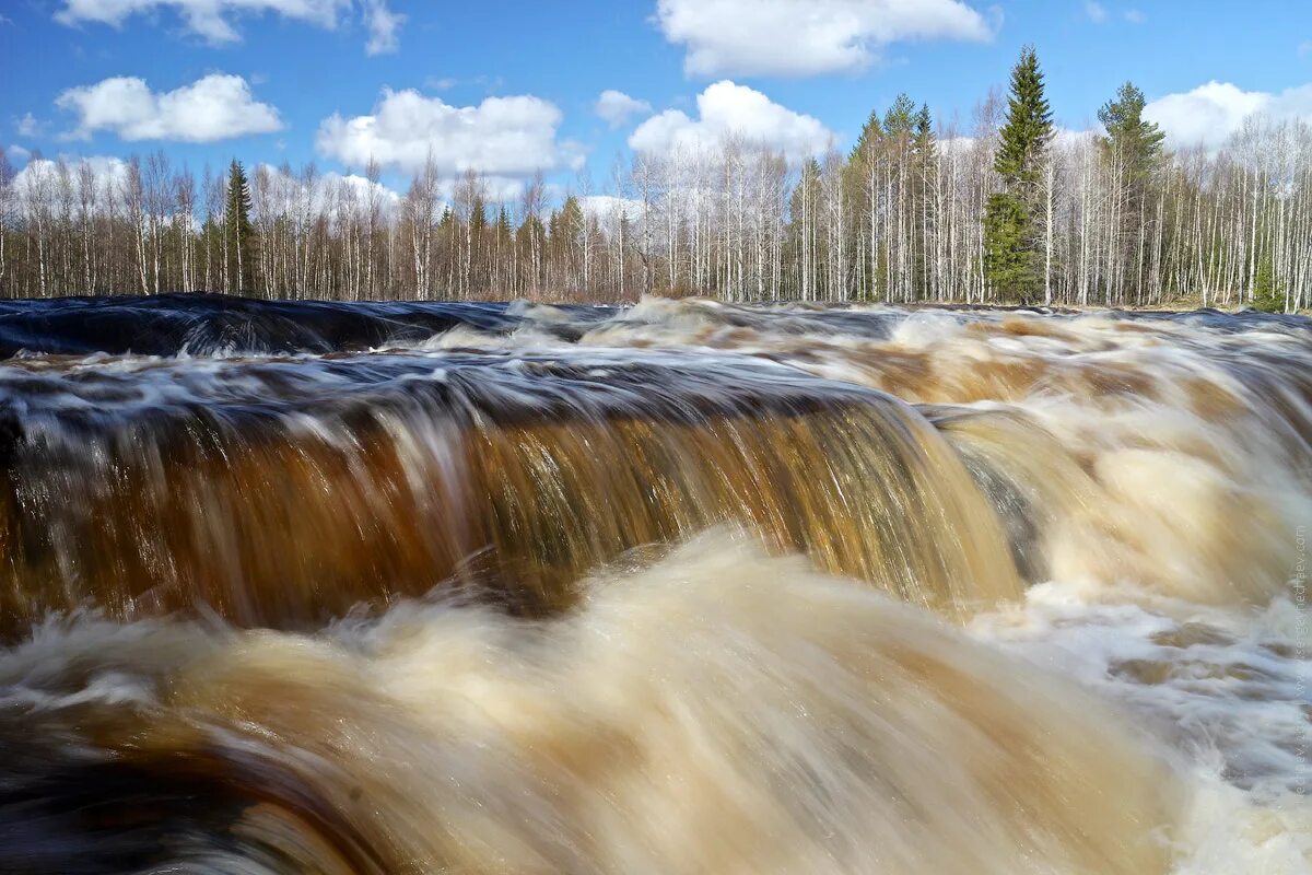 Пороги герои. Воицкий Падун водопад в Карелии. Река Шуя Карелия порог Падун. Карелия порог пятый Падун. Пистайоки река Карелия.