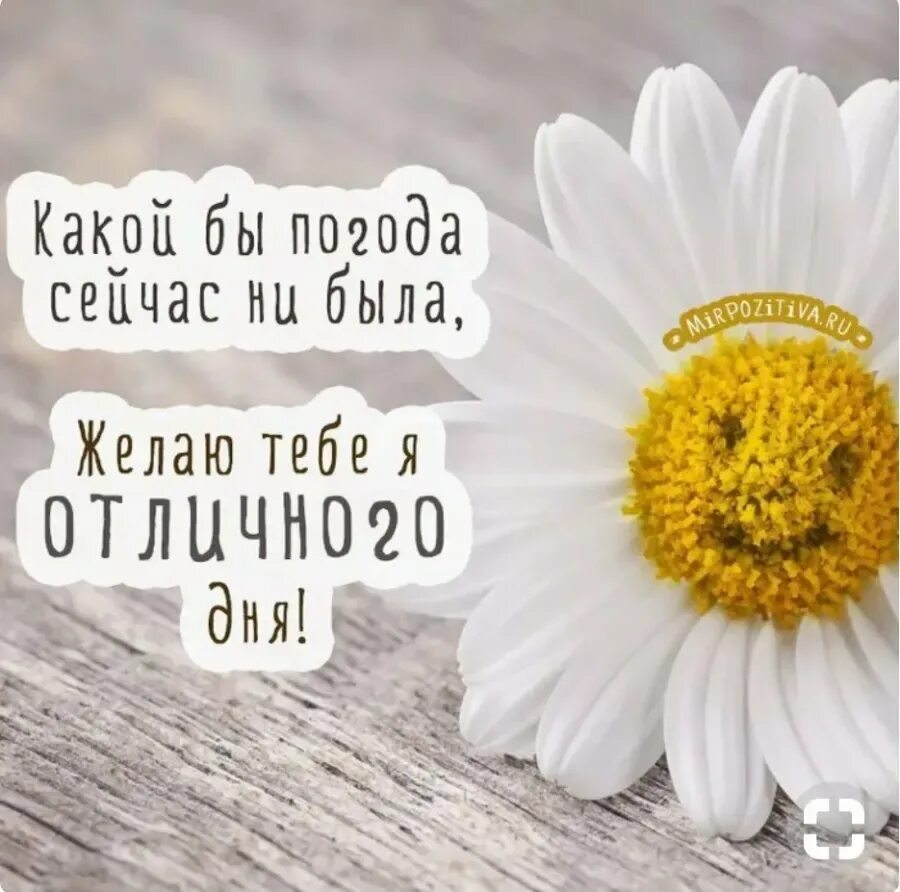 Картинка отличного дня