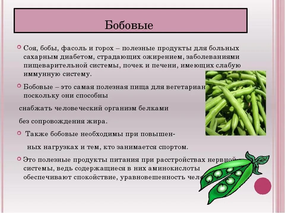 Чем полезны бобовые. Полезные бобовые культуры. Чем полезны бобовые культуры. Бобы полезные свойства. Фасоль можно кормящим