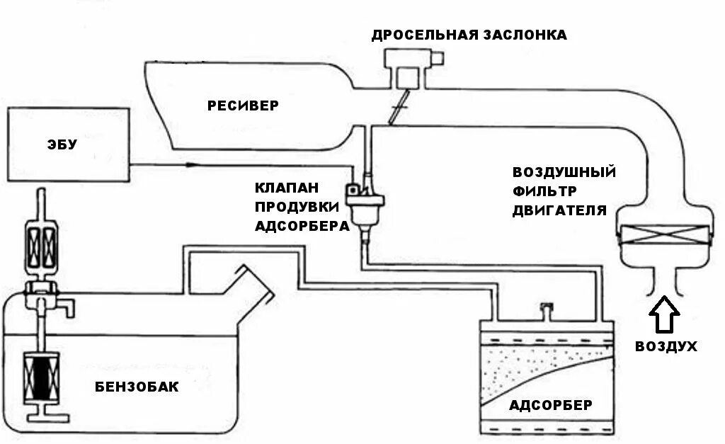 Как проверить клапана воздухом. ВАЗ 2114 схема улавливания паров. Принцип работы продувки адсорбера. Схема топливного адсорбера. Трубка клапана адсорбера ВАЗ 2114.