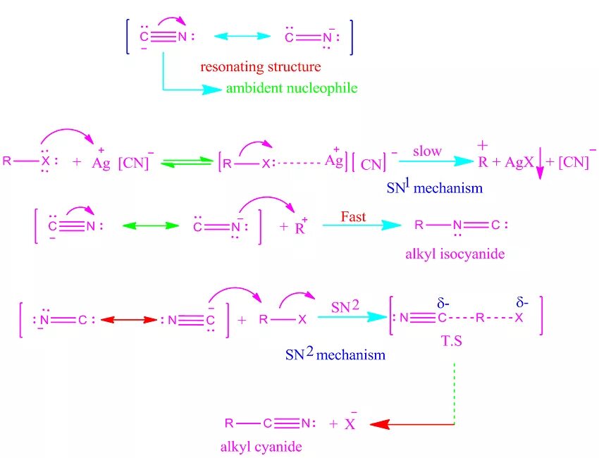 Na ag cn. Na ag cn 2. реакция алкил рисования. ag(cn)2. isocyanides hydrolysis.