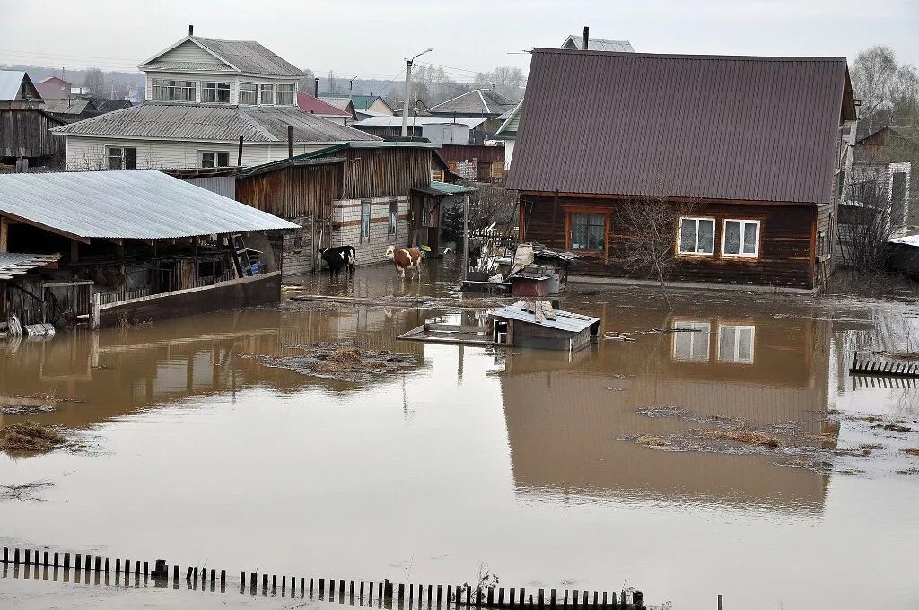 В каких районах подтопление. Паводок Алтайский край. Наводнение в Алтайском крае. Наводнение в 2015 году Алтайский. Крупные наводнения в России.