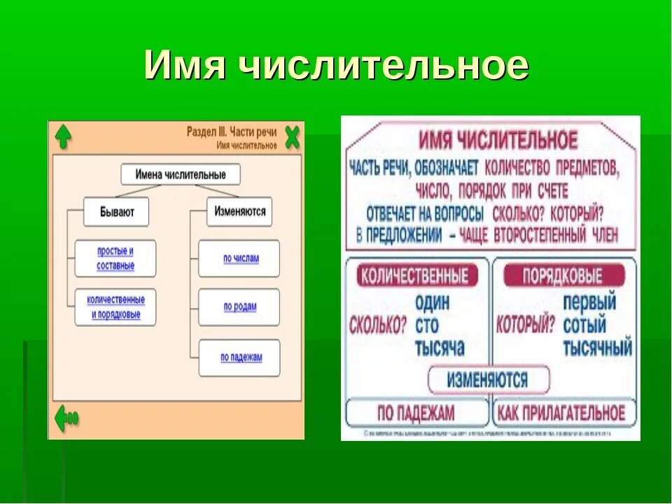 Имя числительное. Числительные в русском языке 4 класс. Что такое числительное в русском языке 4 класс. Имя числительное 6 класс. Слова по русскому языку 6 класс числительными