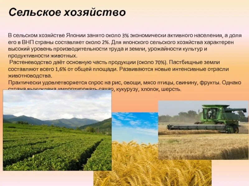 Рисовые поля в южной корее. Сельское хозяйство вьетнама рис. Хозяйство японии презентация. Сельское хозяйство и промышленность японии таблицы. Япония площадь и население.