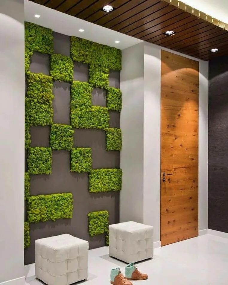 Фитостена мох. Фитостена мох. Фитостена из стабилизированного мха ягель. Фитостена мох стабилизированный. Стратифицированный мох.