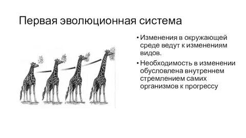 Характерными чертами эволюции как формы
