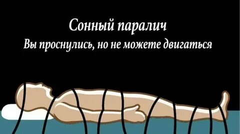 Что такое сонные тетери