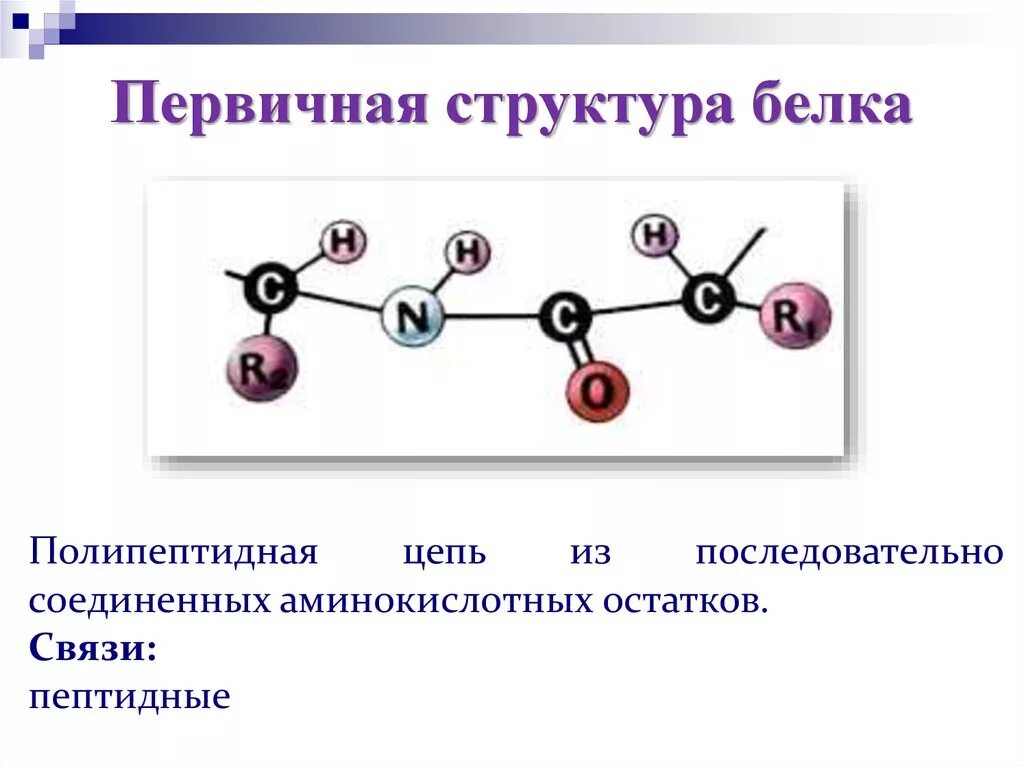 Первичная структура белка первичная структура белка. Первичная структура белка формула. Строение первичной структуры белка. Формула молекулы первичной структуры белка. Первичная структура белка называют