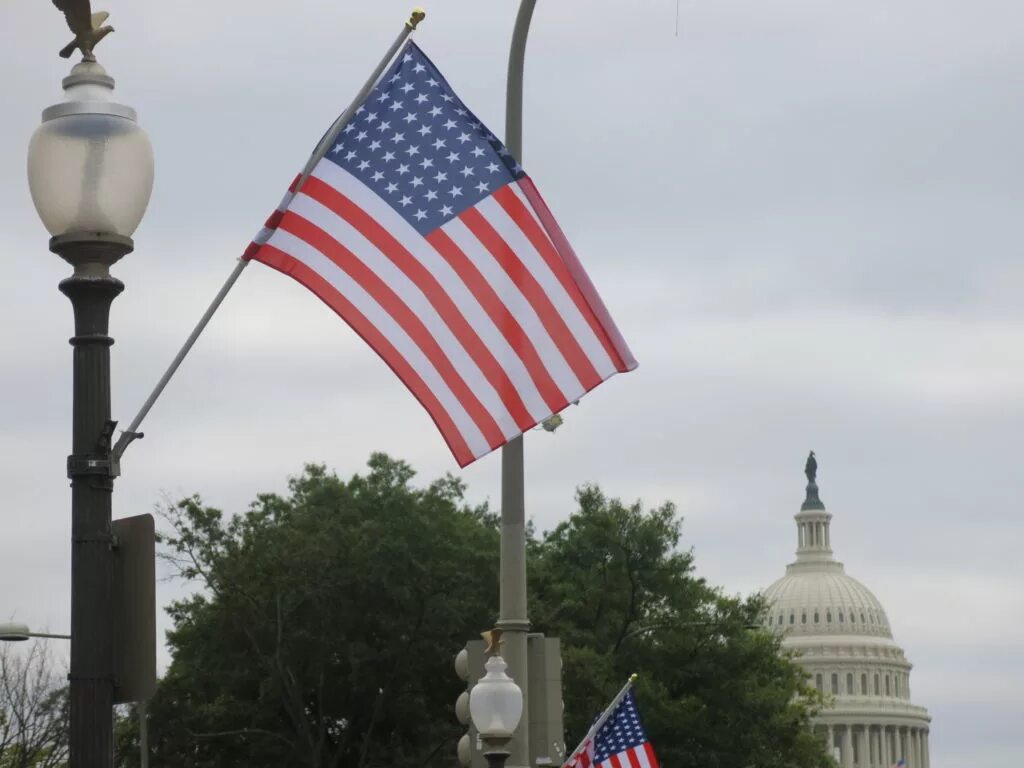 Регионы сша. Флаг сша 1890. Пятьдесят первый штат. 5 регион америки. Пятьдесят первый штат.