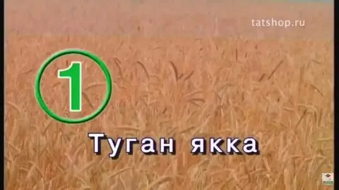 Туган як башкирская или татарская