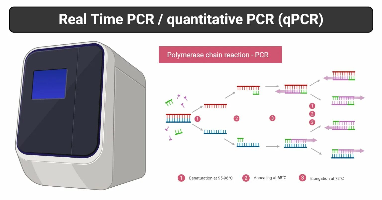 Источник https chemer ru services reactions chains. Real-time polymerase Chain Reaction (real-time PCR). RT-PCR. ПЦР С обратной транскрипцией. Метода RT-PCR.