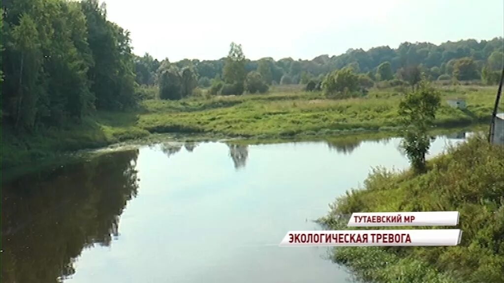 Погода поселок константиновский ярославская область. Тутаев поселок константиновский. Посёлок константиновский тутаевский. Погода поселок константиновский ярославская область. Ярославль посёлок константиновский.