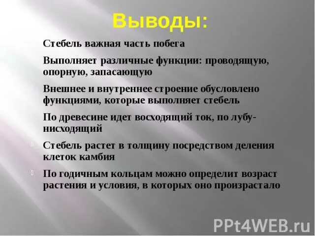 Какую функцию выполняет стебель кратко