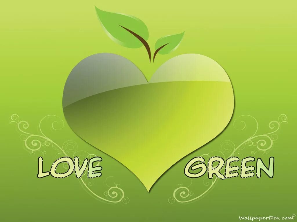 Зеленая любовь. Зеленый цвет любви. Love любовь зеленый. Салатовая любовь. Любовь в зеленой полночи