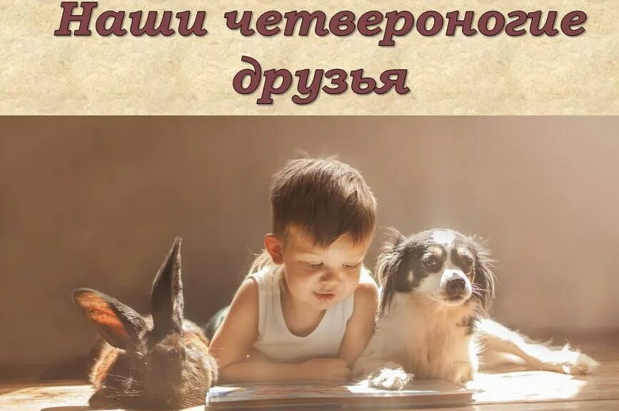 Четвероногие друзья последнее