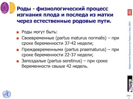 Путь род
