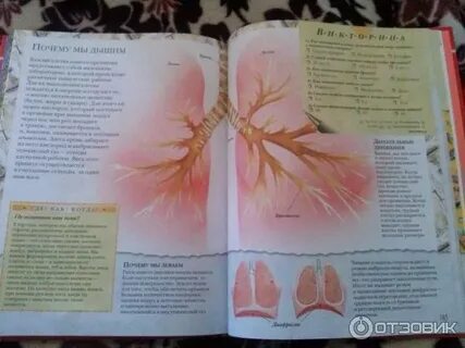 Большая книга почему