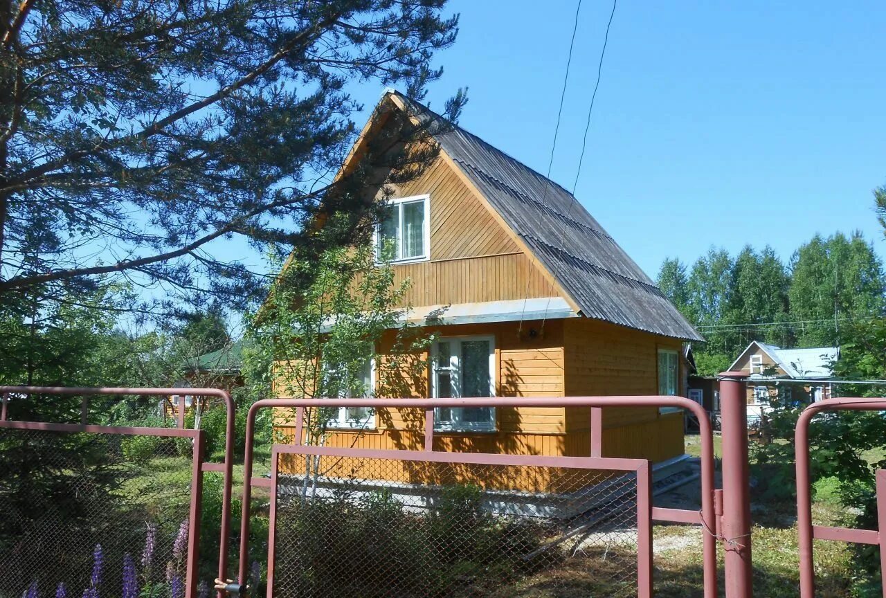 Садоводство чаща Гатчинский район. Дача Гатчинский район. Дача в чаще. Дачный участок чаща Гатчинский район.