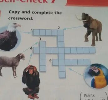 Copy and complete